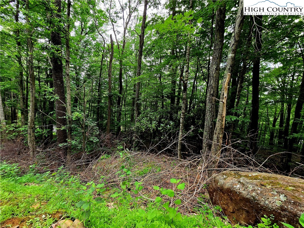 Red Fox Ridge Boone, NC 28607 - Photo 16 of 17 a view of backyard with green space