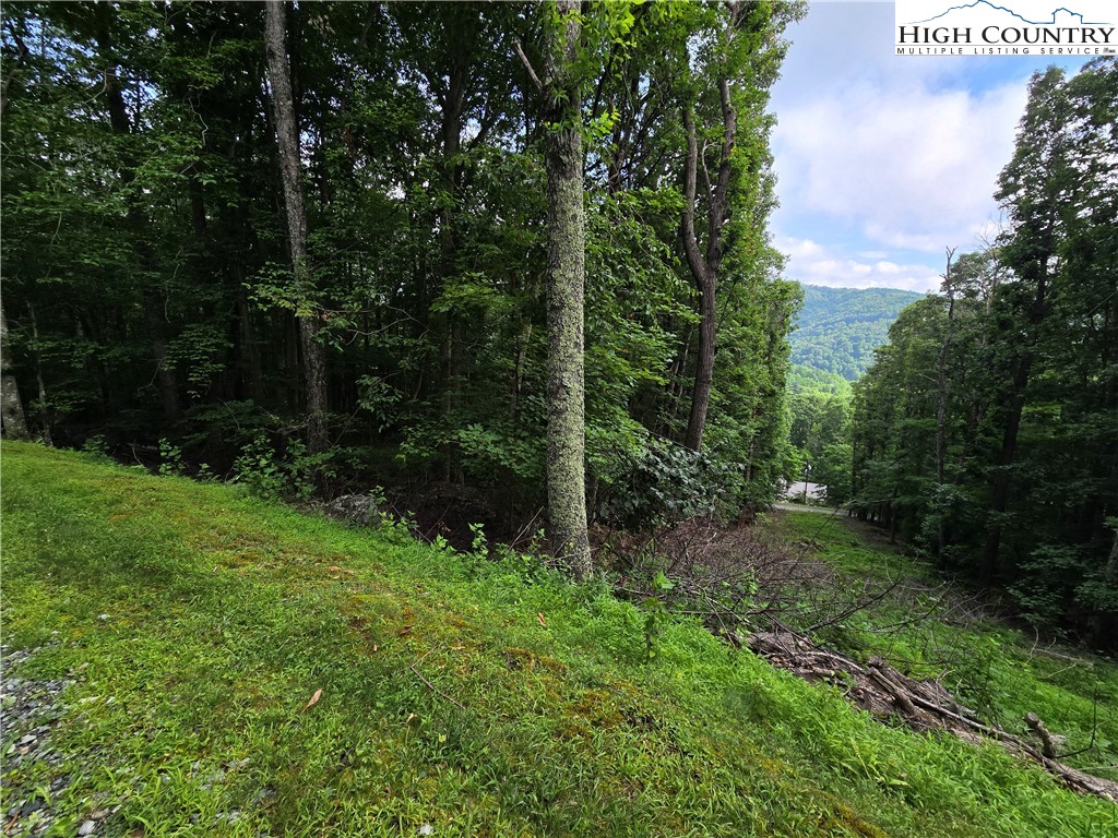 Red Fox Ridge Boone, NC 28607 - Photo 17 of 17 a view of backyard with green space