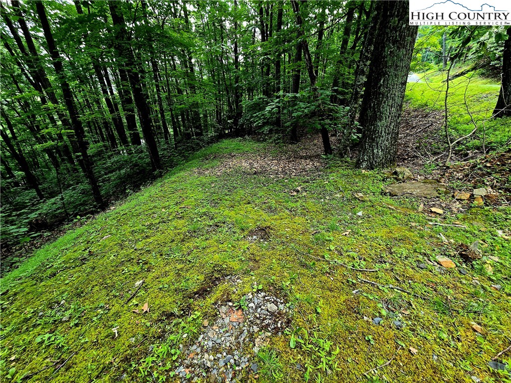 Red Fox Ridge Boone, NC 28607 - Photo 2 of 17 a view of outdoor space and a yard
