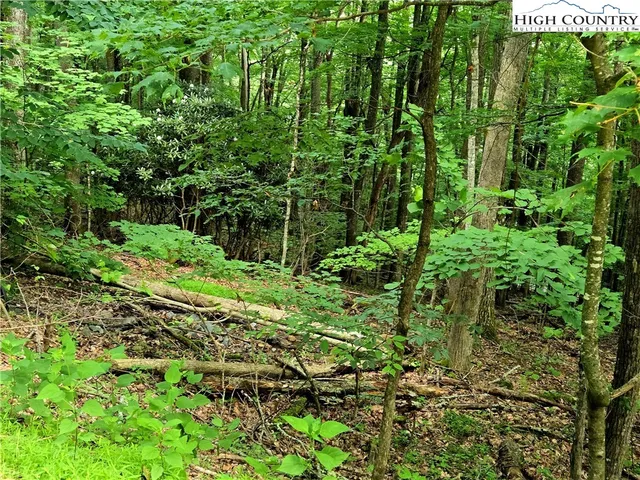 a view of outdoor space and green space