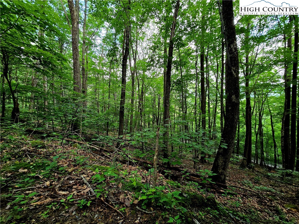 Red Fox Ridge Boone, NC 28607 - Photo 4 of 17 a view of outdoor space and green space