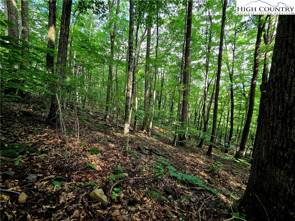 Red Fox Ridge Boone, NC 28607 - Photo 5 of 17 a view of outdoor space and green space