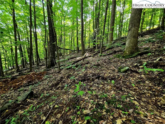 a view of outdoor space and trees