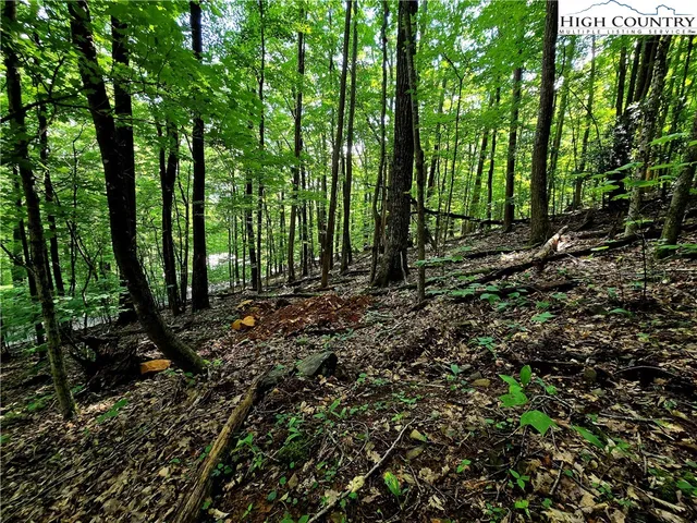 a view of outdoor space and trees