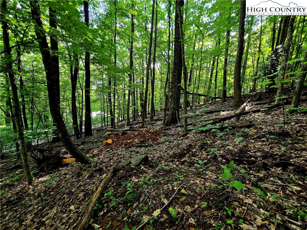 Red Fox Ridge Boone, NC 28607 - Photo 10 of 17 a view of outdoor space and trees