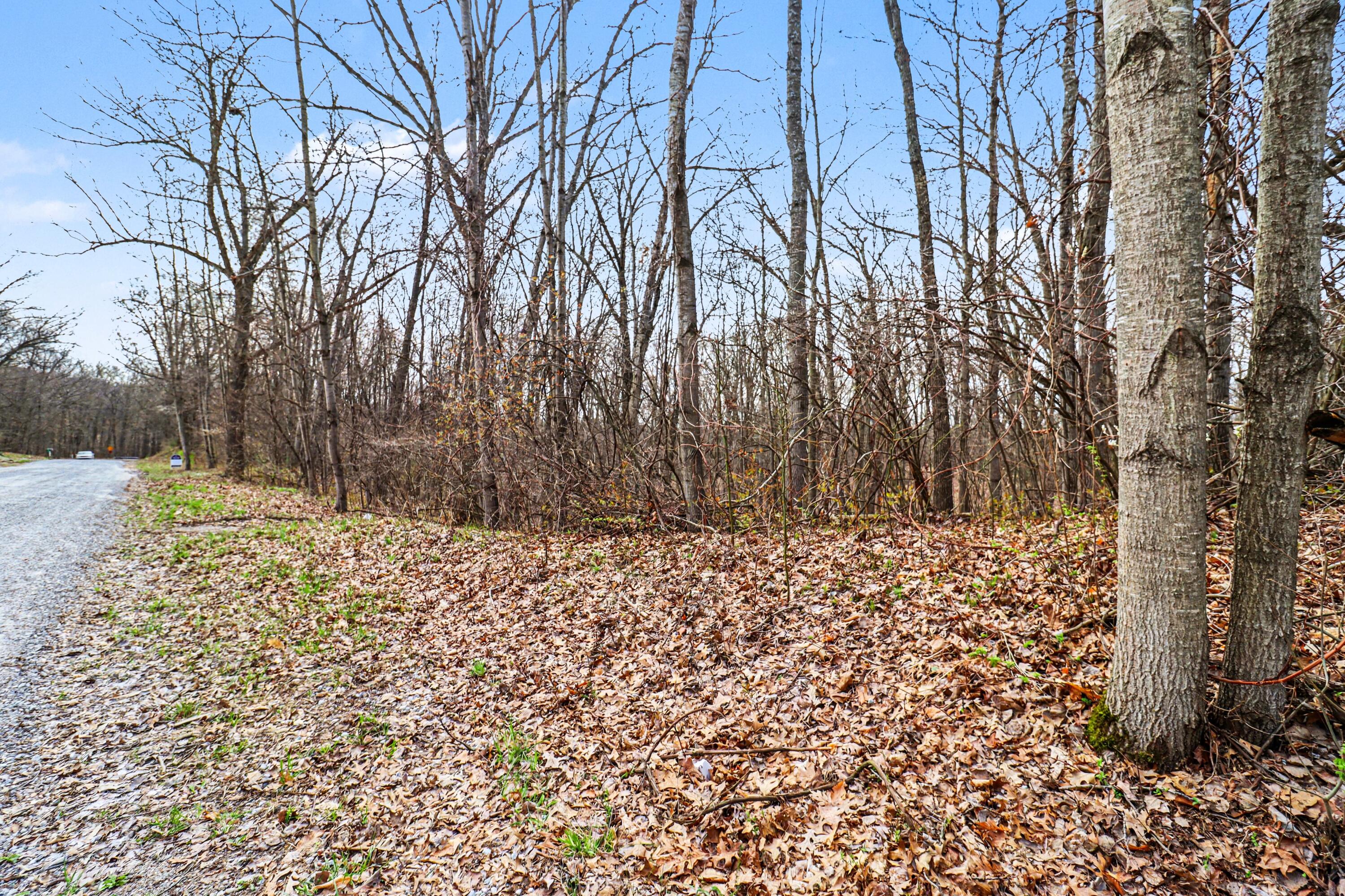 6920 19 Mile Road Northeast Cedar Springs, MI 49319 - Photo 1 of 9 file_4300