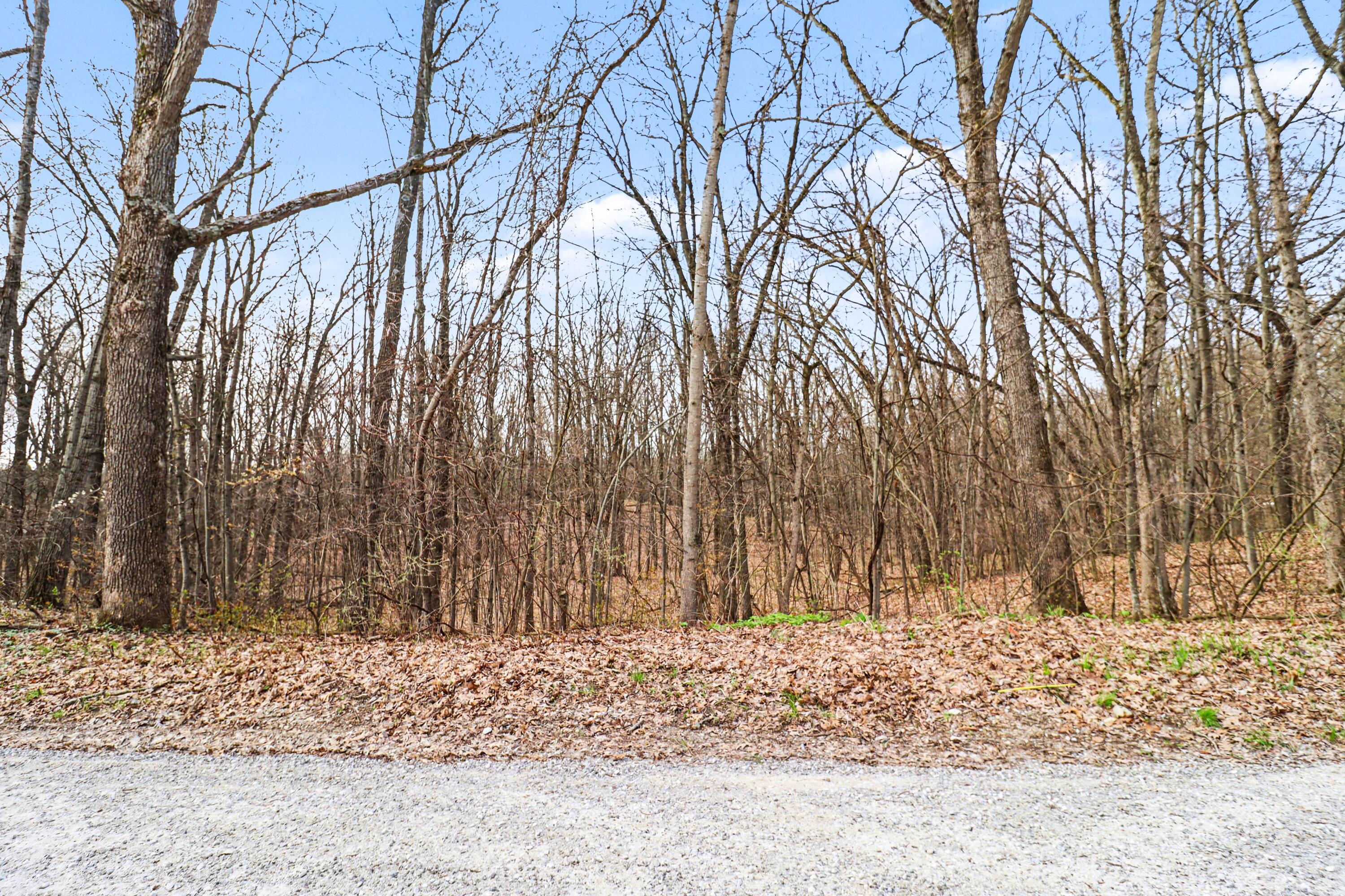 6920 19 Mile Road Northeast Cedar Springs, MI 49319 - Photo 2 of 9 file_5301