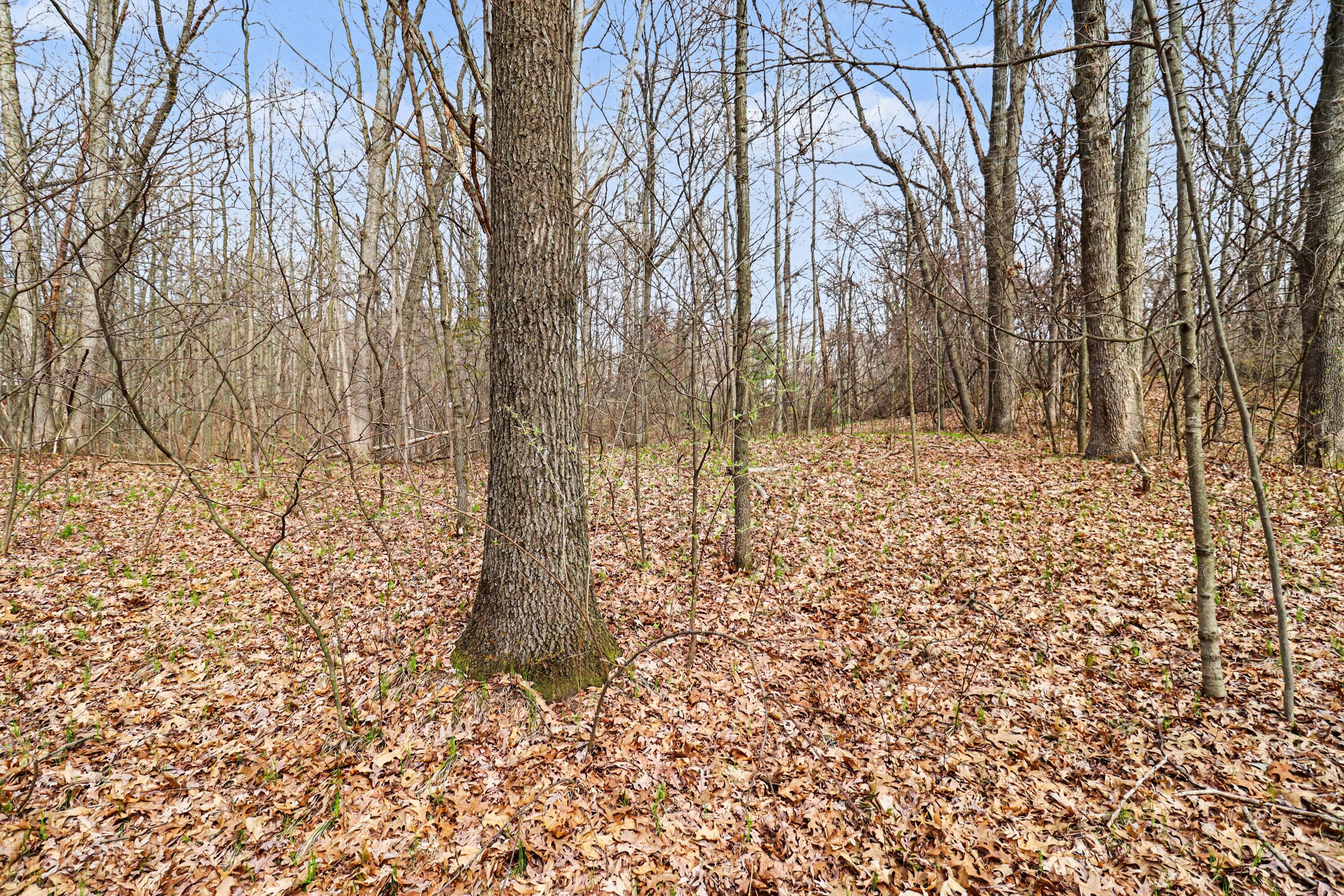 6920 19 Mile Road Northeast Cedar Springs, MI 49319 - Photo 3 of 9 file_1309