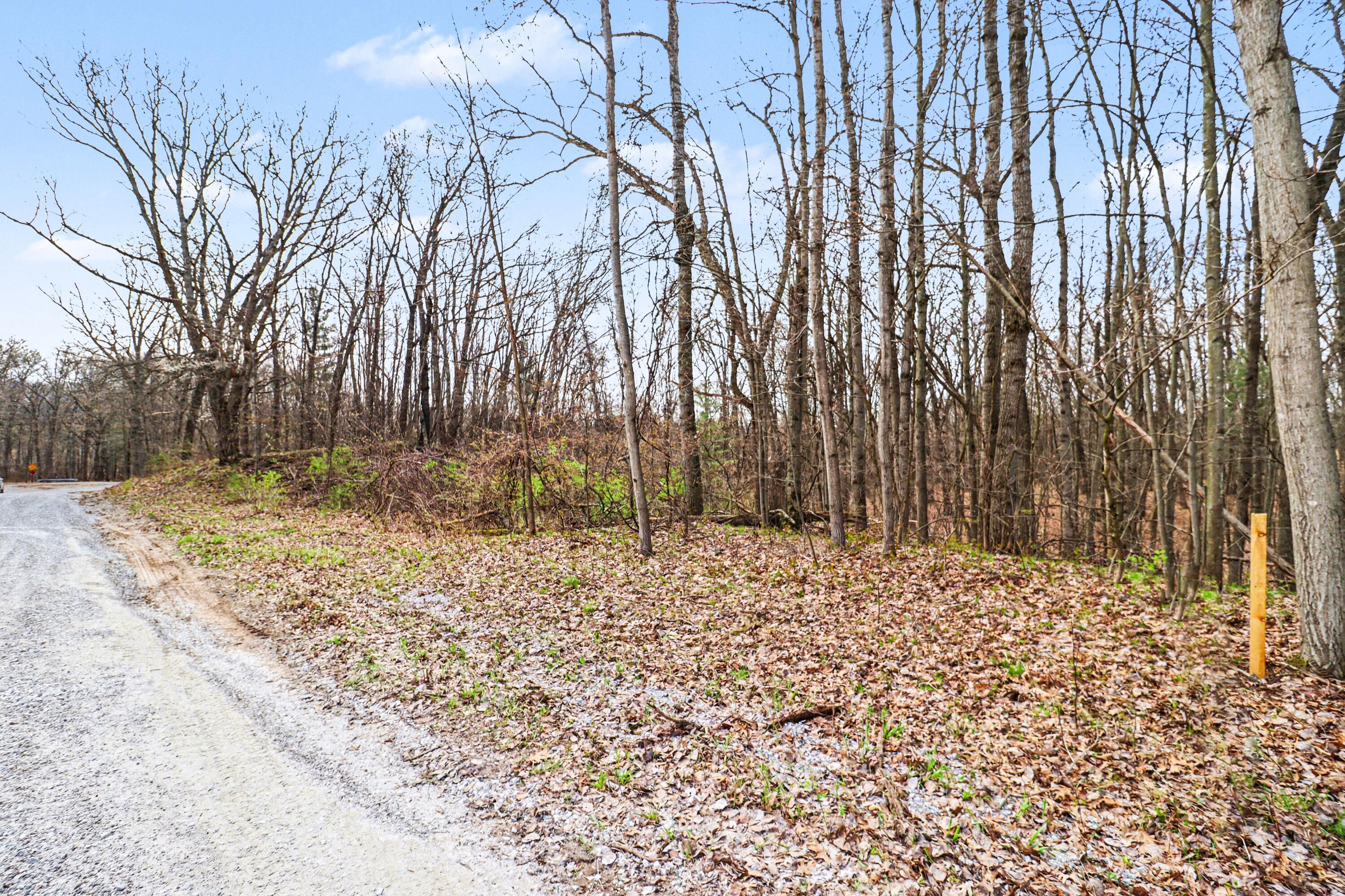 6920 19 Mile Road Northeast Cedar Springs, MI 49319 - Photo 5 of 9 file_9736