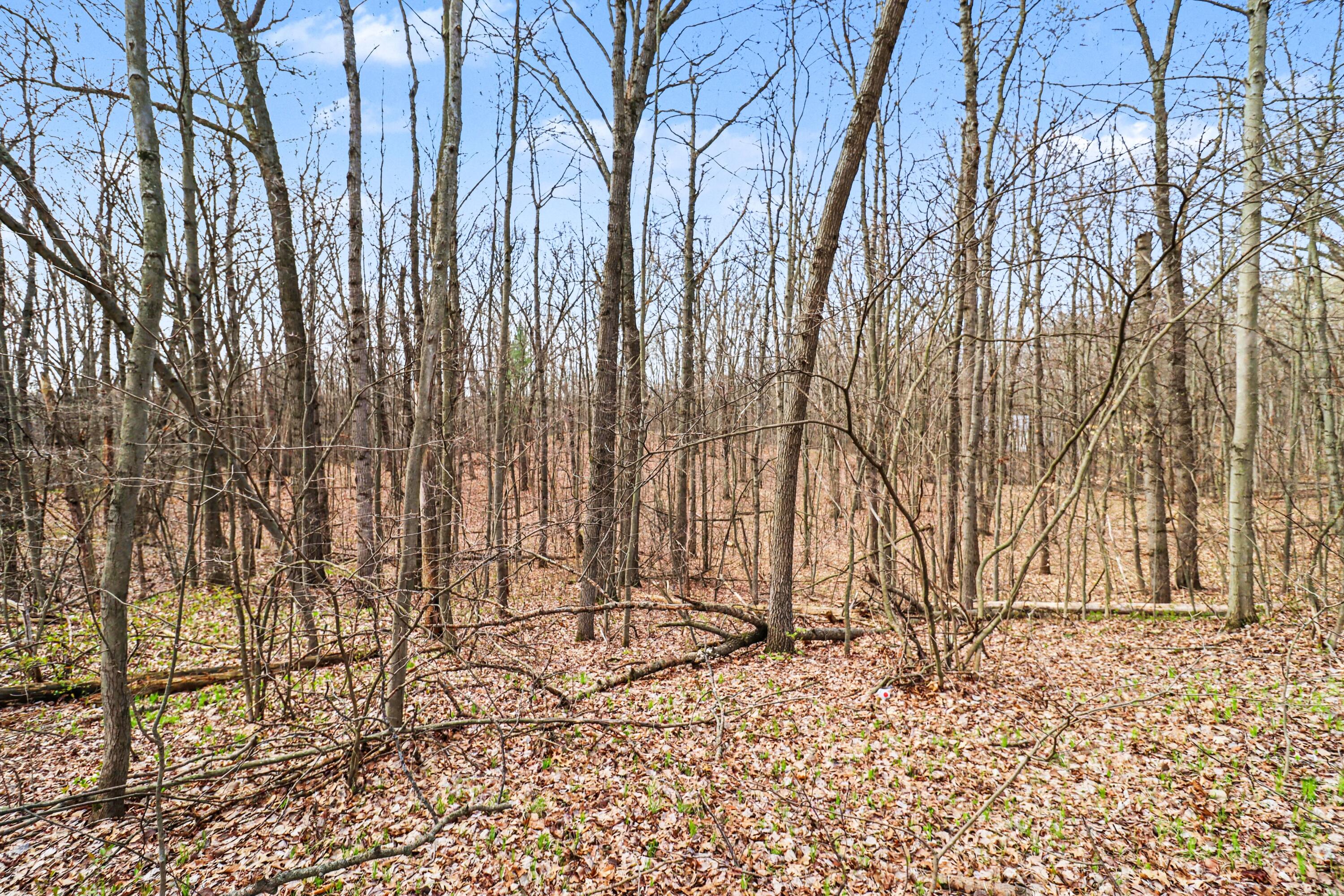6920 19 Mile Road Northeast Cedar Springs, MI 49319 - Photo 6 of 9 file_1747