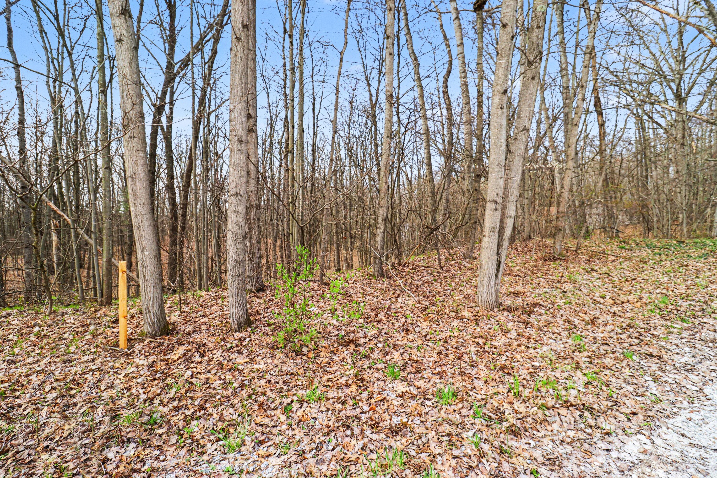 6920 19 Mile Road Northeast Cedar Springs, MI 49319 - Photo 8 of 9 file_5072