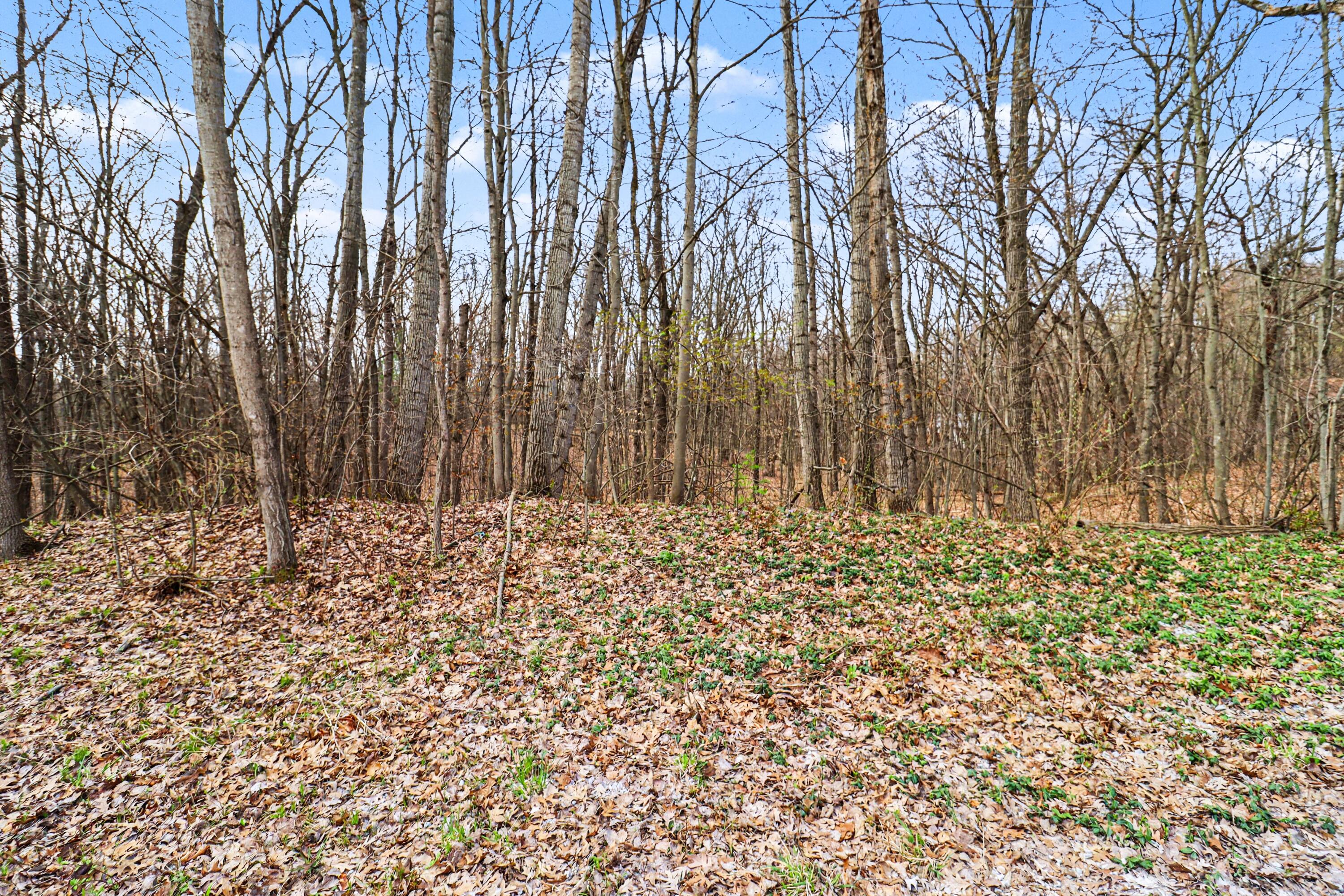 6920 19 Mile Road Northeast Cedar Springs, MI 49319 - Photo 9 of 9 file_8692
