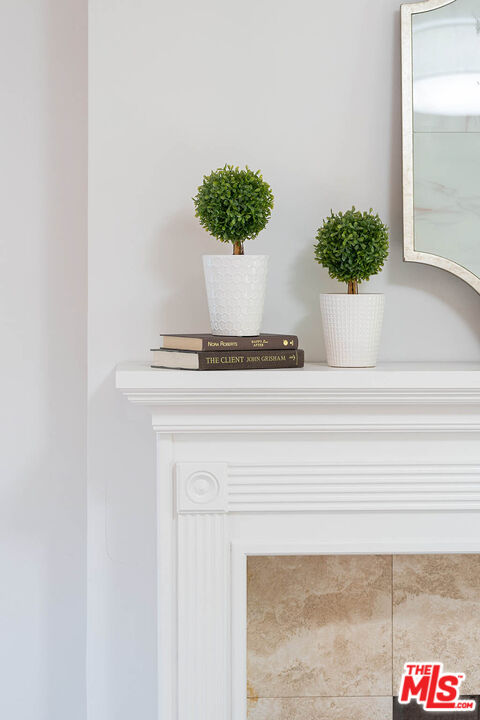 620 North Cherokee Avenue Los Angeles, CA 90004 - Photo 15 of 64 a close view of a potted plant on a counter