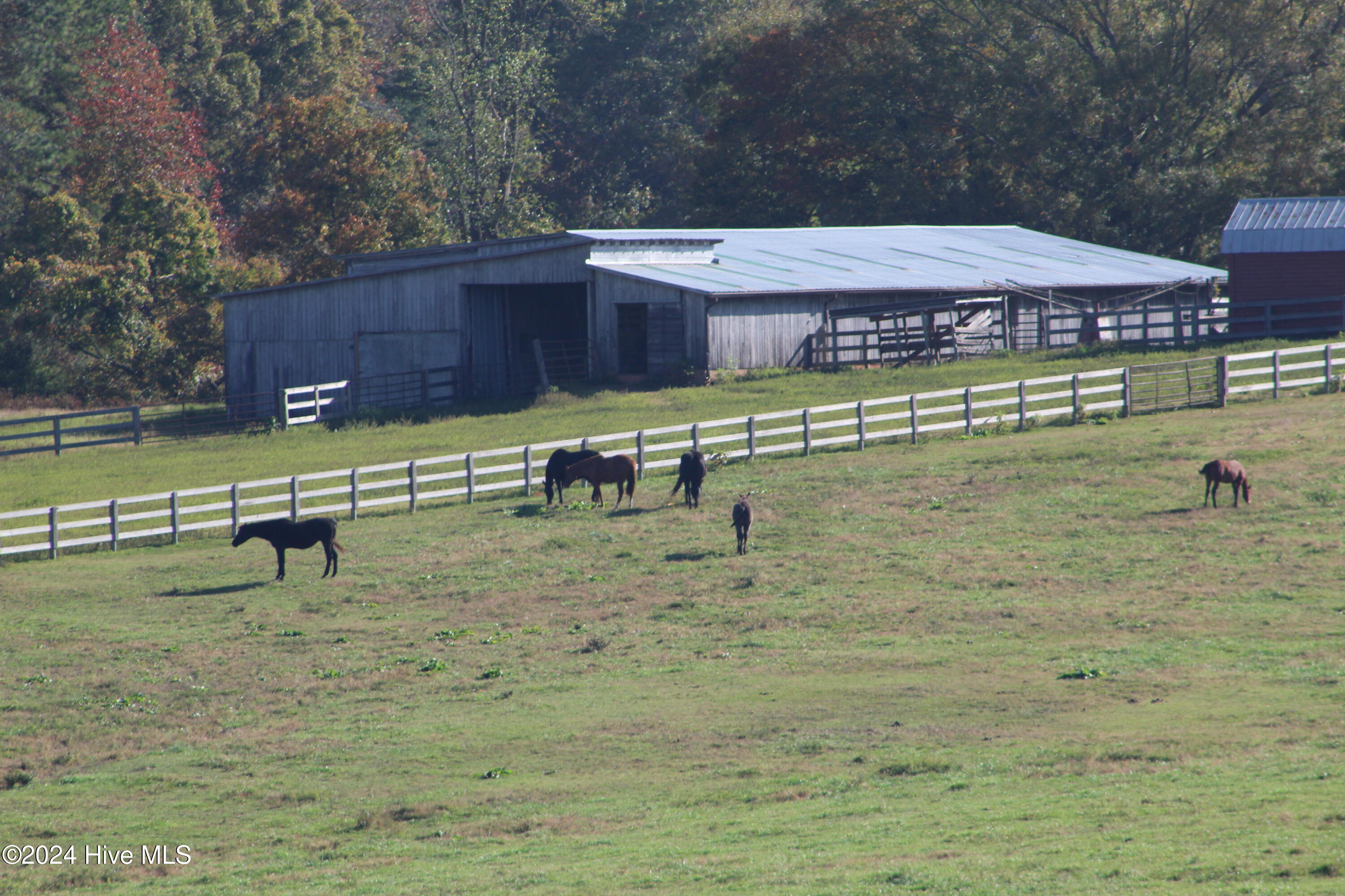 455 Hogan Farm Road Seagrove, NC 27341 - Photo 53 of 87 Back Barn