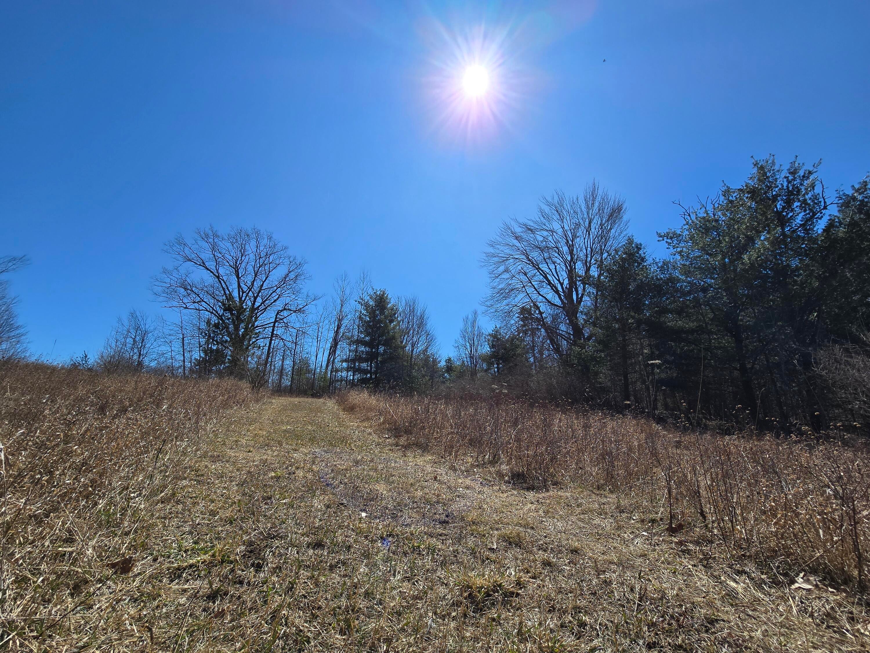 80-acre Ross Road Barton City, MI 48705 - Photo 39 of 47 Gallery Image 39