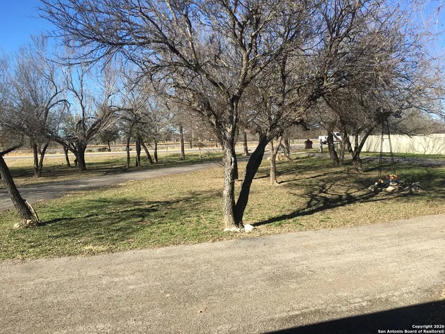 a view of yard with trees
