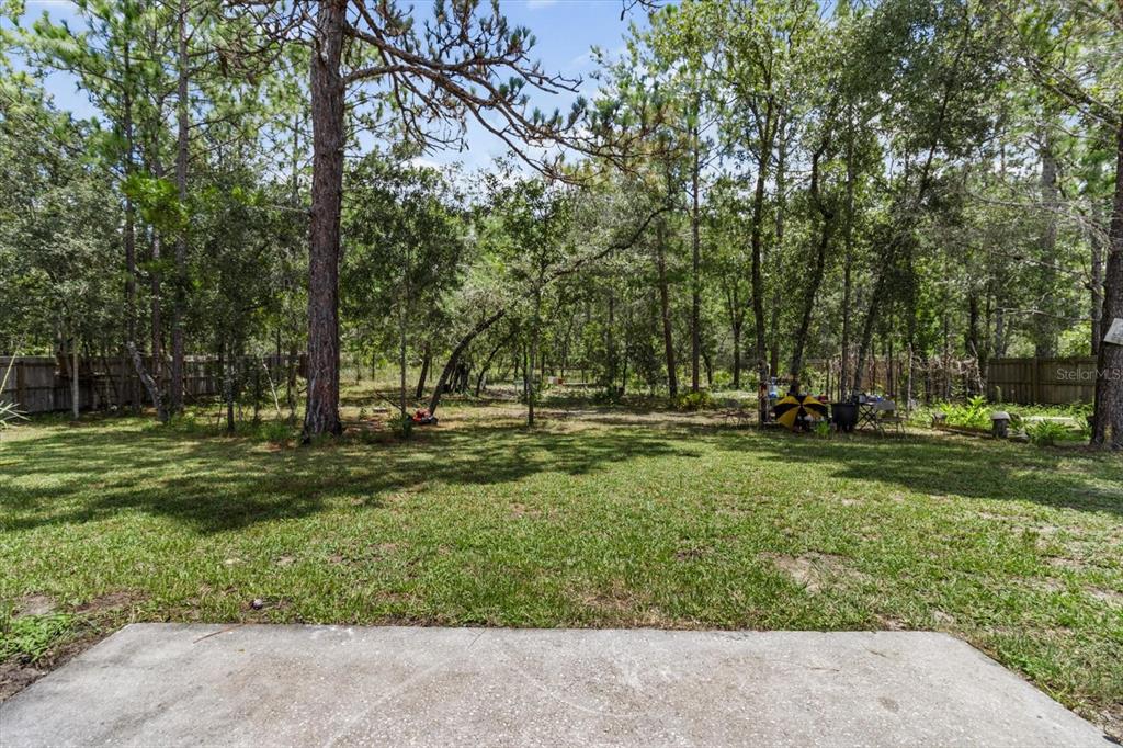16038 Malden Road Weeki Wachee, FL 34614 - Photo 38 of 40