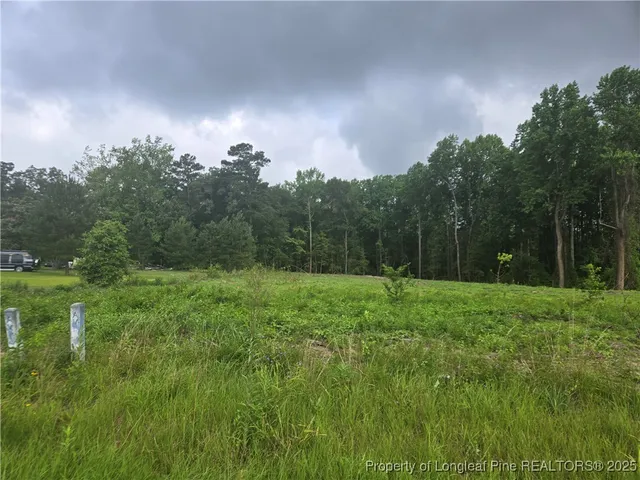 $110,000 | Blue Springs Road, Red Springs, NC 28377