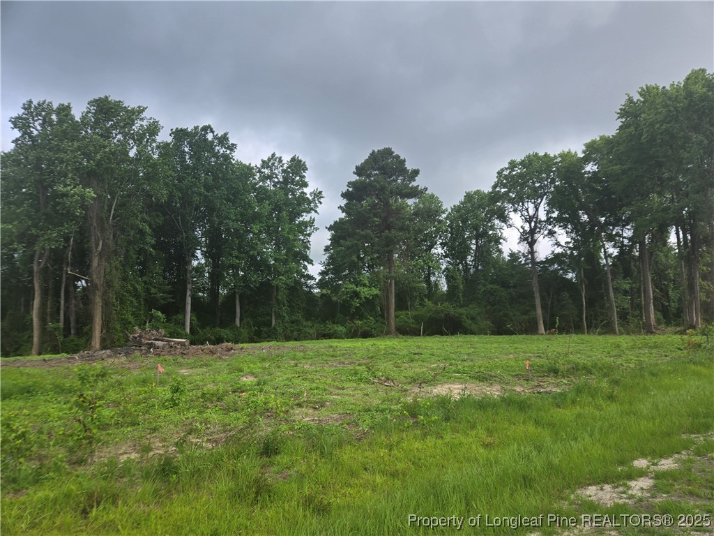 Blue Springs Road Red Springs, NC 28377 - Photo 12 of 15 a view of outdoor space with green field and trees