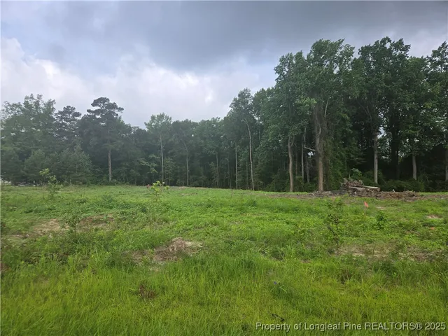 $110,000 | Blue Springs Road, Red Springs, NC 28377