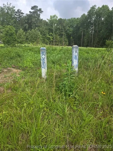 $110,000 | Blue Springs Road, Red Springs, NC 28377