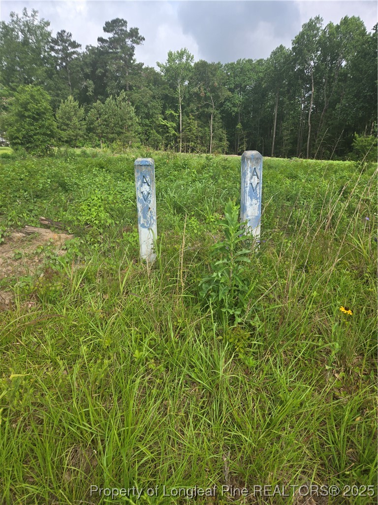 Blue Springs Road Red Springs, NC 28377 - Photo 14 of 15 a green field with lots of bushes