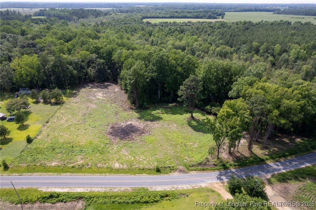 Blue Springs Road Red Springs, NC 28377 - Photo 3 of 15 a view of yard with green space