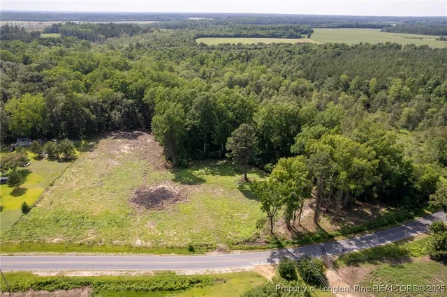 $110,000 | Blue Springs Road, Red Springs, NC 28377