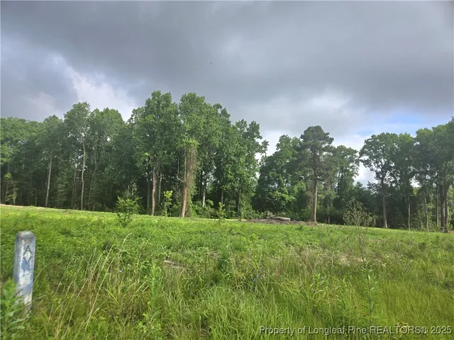 $110,000 | Blue Springs Road, Red Springs, NC 28377