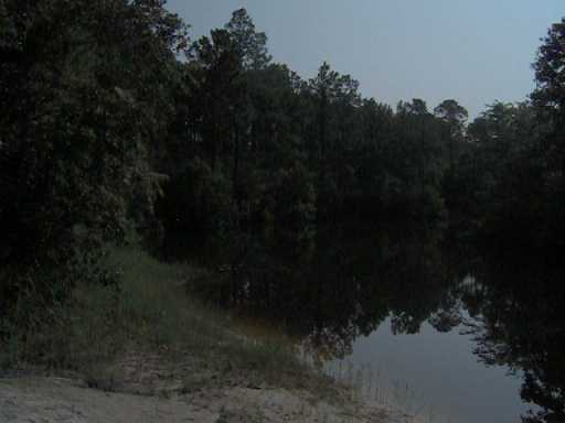 8317 Highway 57 Vancleave, MS 39565 - Photo 2 of 4 Additional Photo