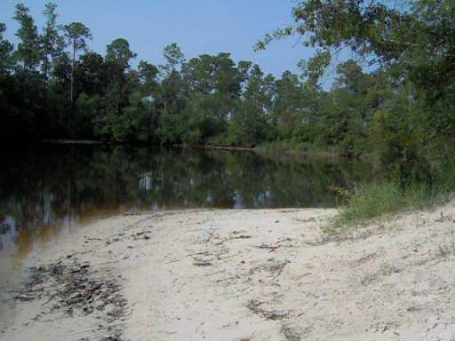 8317 Highway 57 Vancleave, MS 39565 - Photo 3 of 4 Additional Photo