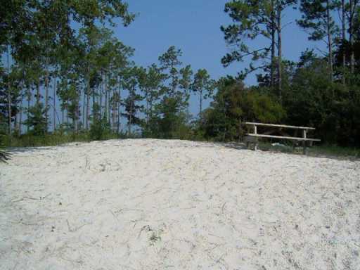 8317 Highway 57 Vancleave, MS 39565 - Photo 4 of 4 Additional Photo