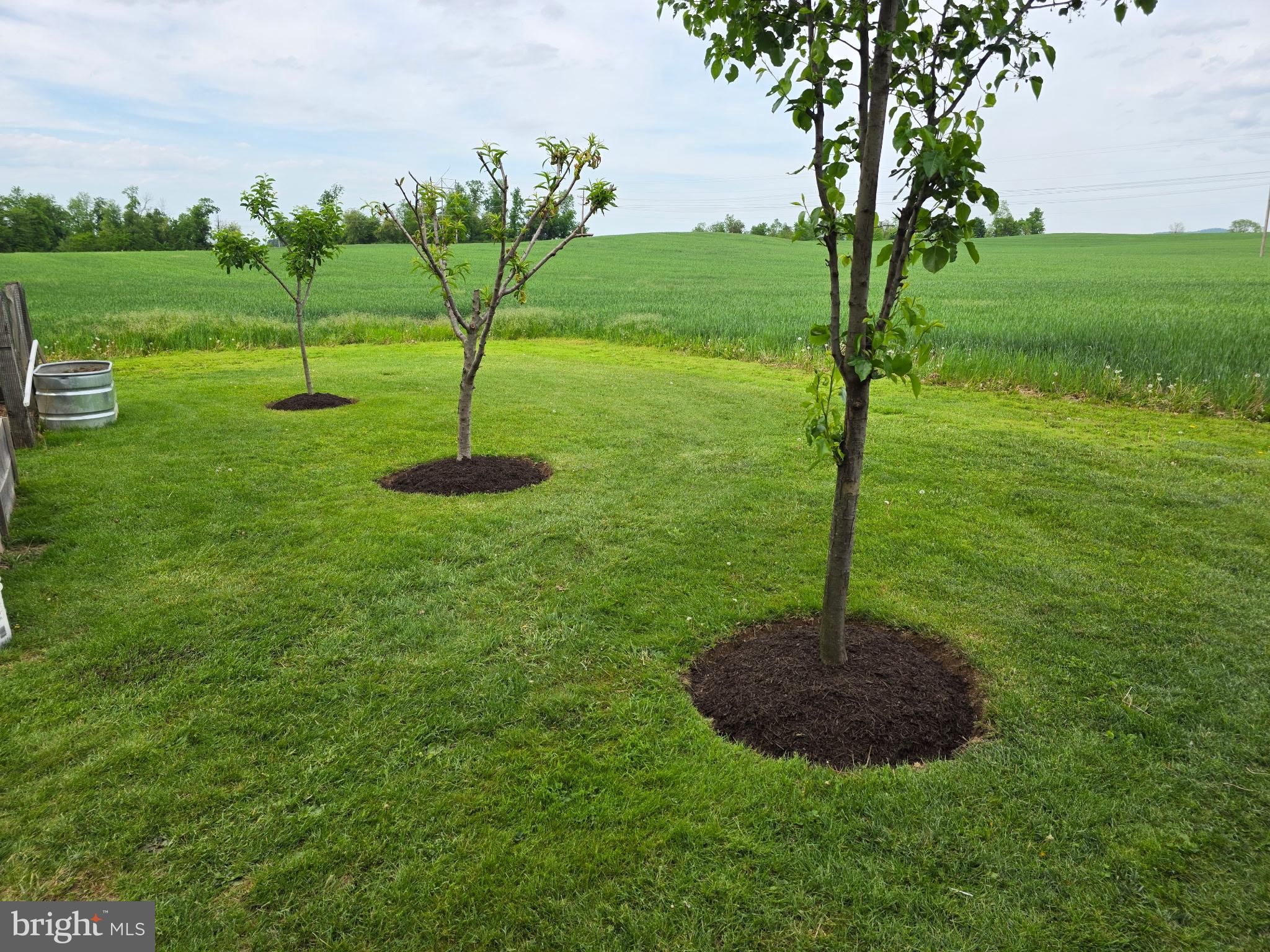 1177 Walker Road Chambersburg, PA 17202 - Photo 5 of 15 Lush green lawn with young trees thriving.