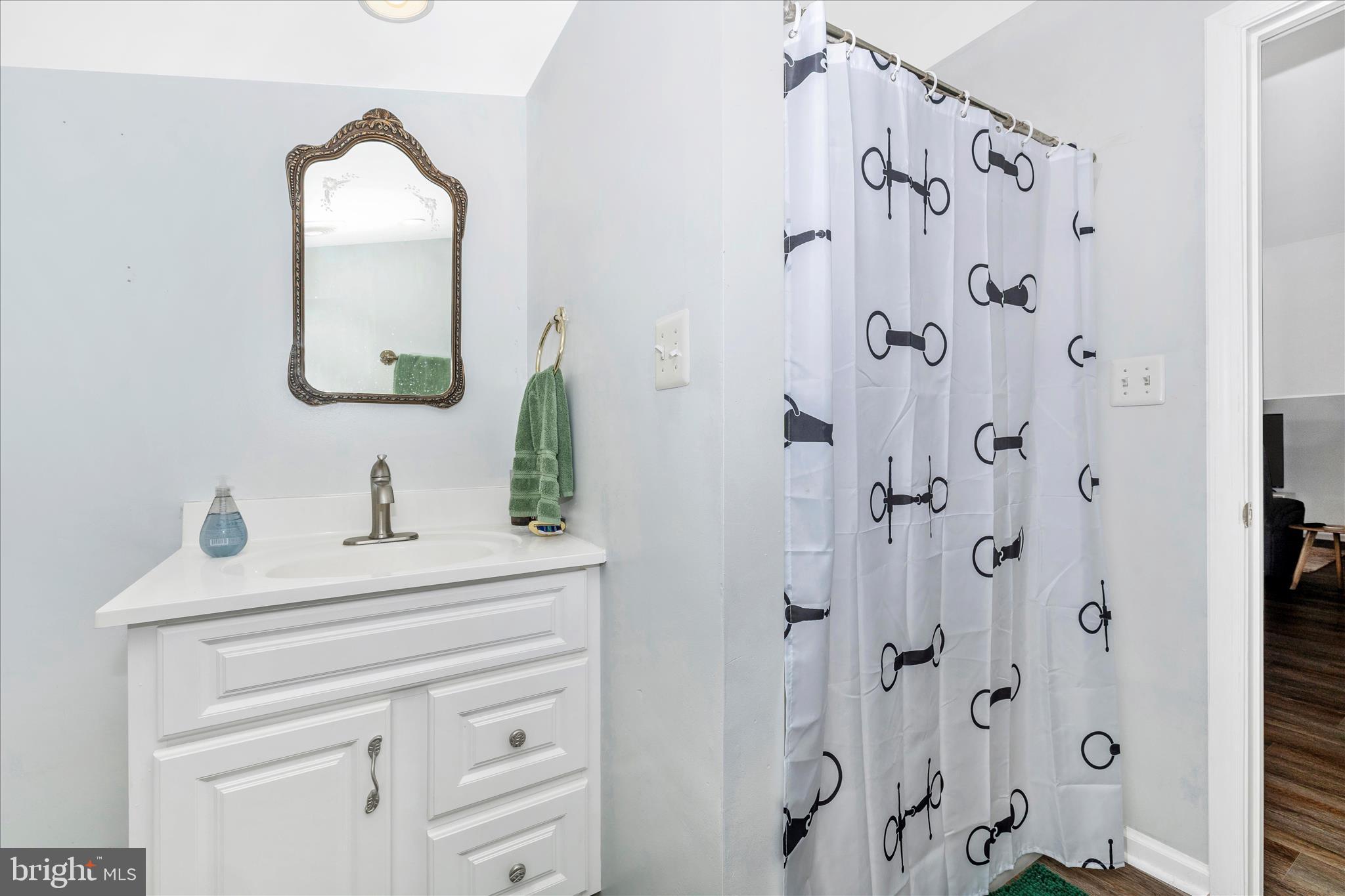 10224 Bessie Clemson Road Union Bridge, MD 21791 - Photo 31 of 46 a bathroom with a sink vanity and a mirror