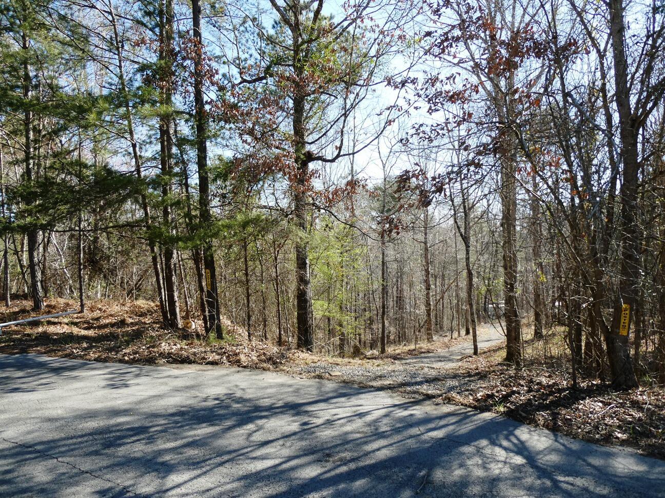 123 County Road Cullman, AL 35055 - Photo 4 of 19 Driveway Entrance