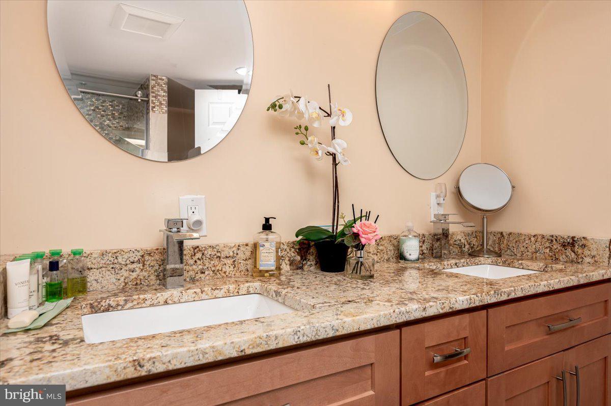 4603 Lathe Road Owings Mills, MD 21117 - Photo 58 of 87 LOWER LEVEL BATHROOM FOR TWO