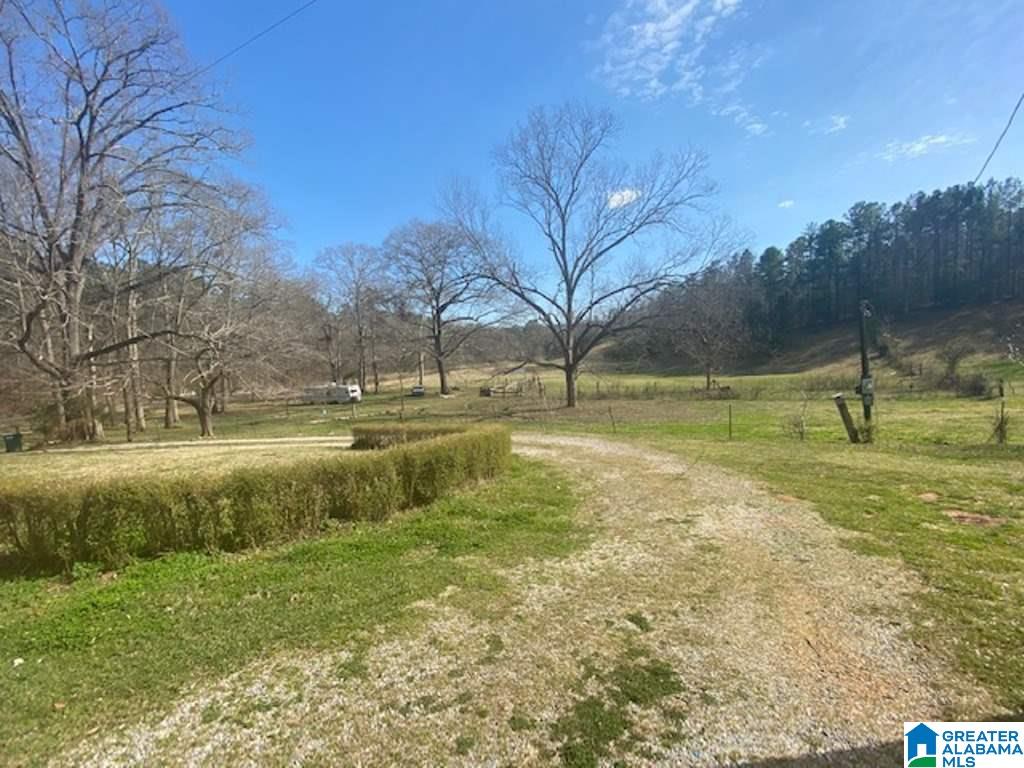3154 Taylors Mill Road Talladega, AL 35160 - Photo 27 of 46