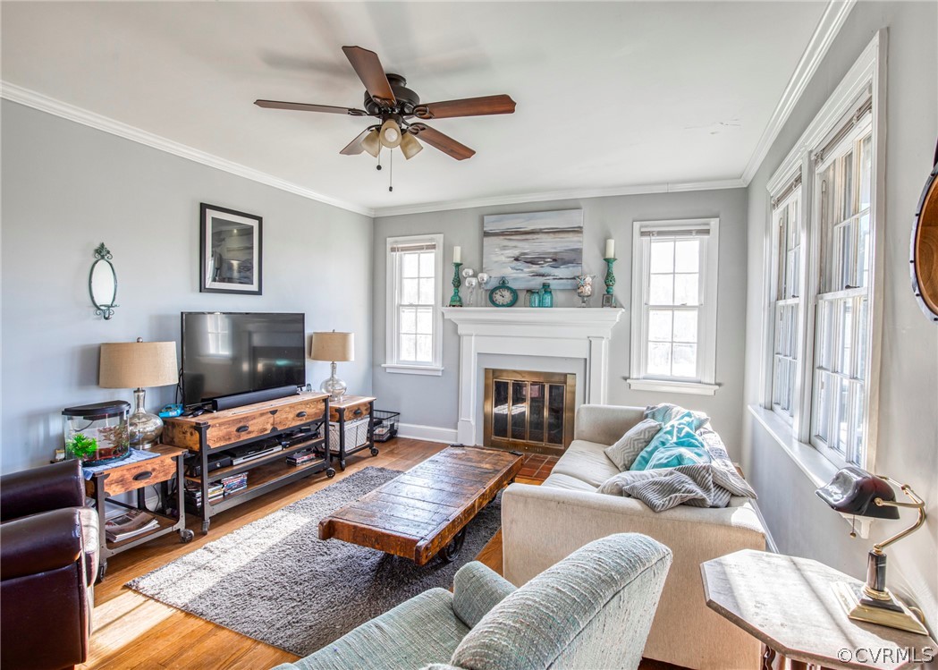 4830 Three Chopt Road Louisa, VA 23093 - Photo 2 of 27 a living room with furniture a flat screen tv and a fireplace