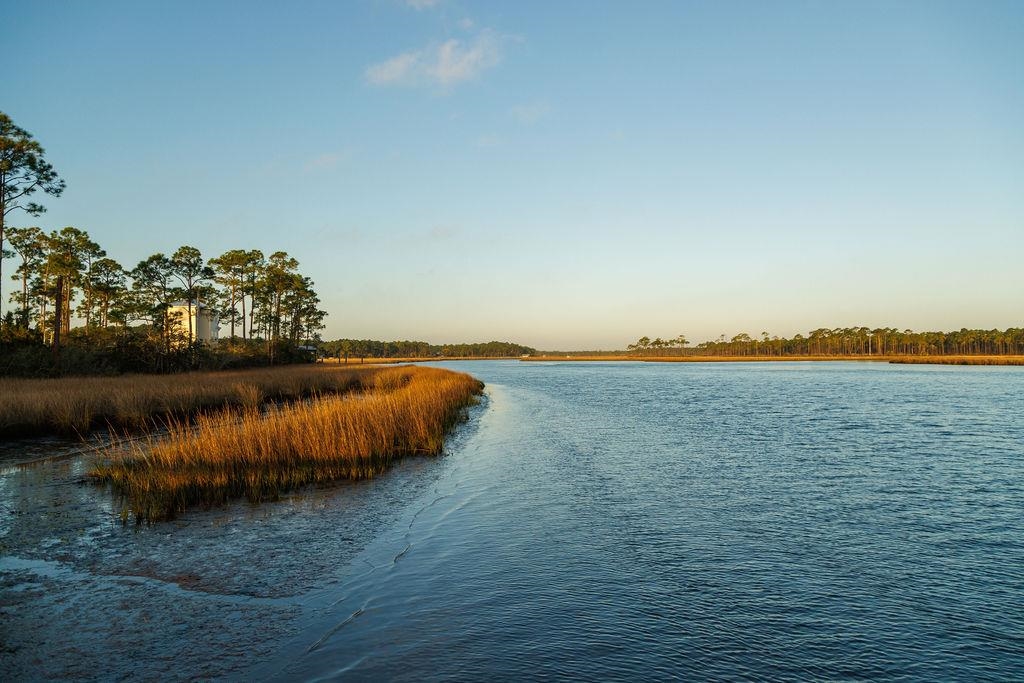 588 River Road Carrabelle, FL 32322 - Photo 13 of 70