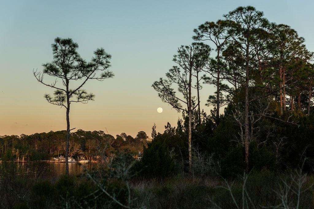 588 River Road Carrabelle, FL 32322 - Photo 16 of 70