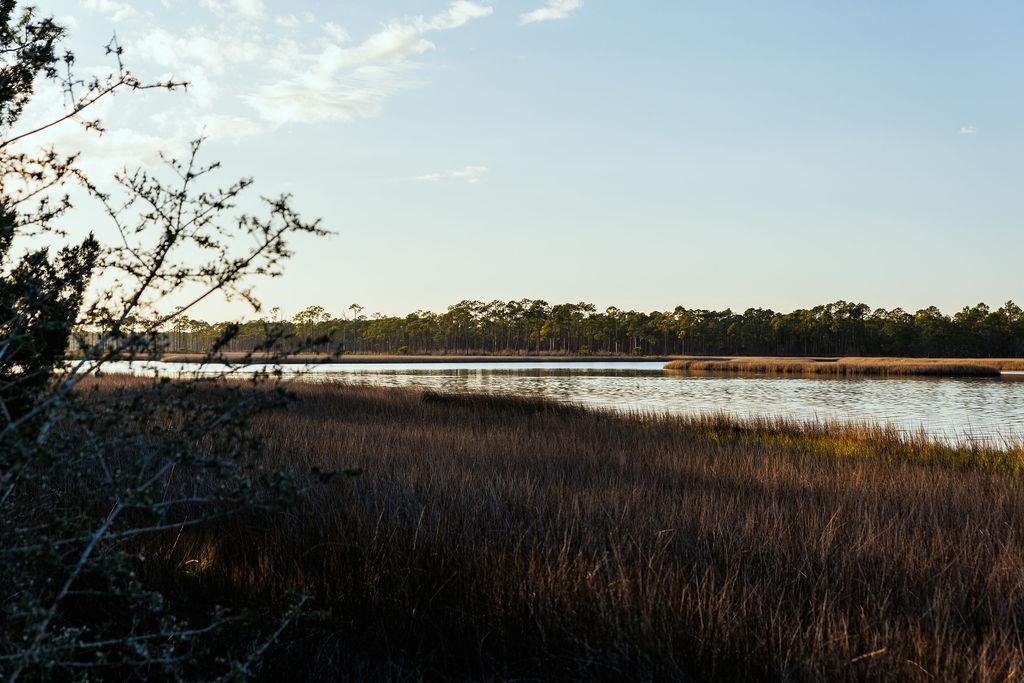588 River Road Carrabelle, FL 32322 - Photo 22 of 70