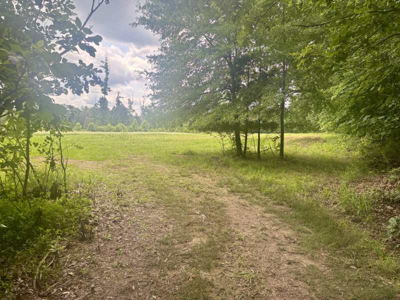 294 Haskell Winton Road Manchester, TN 37355 - Photo 6 of 14