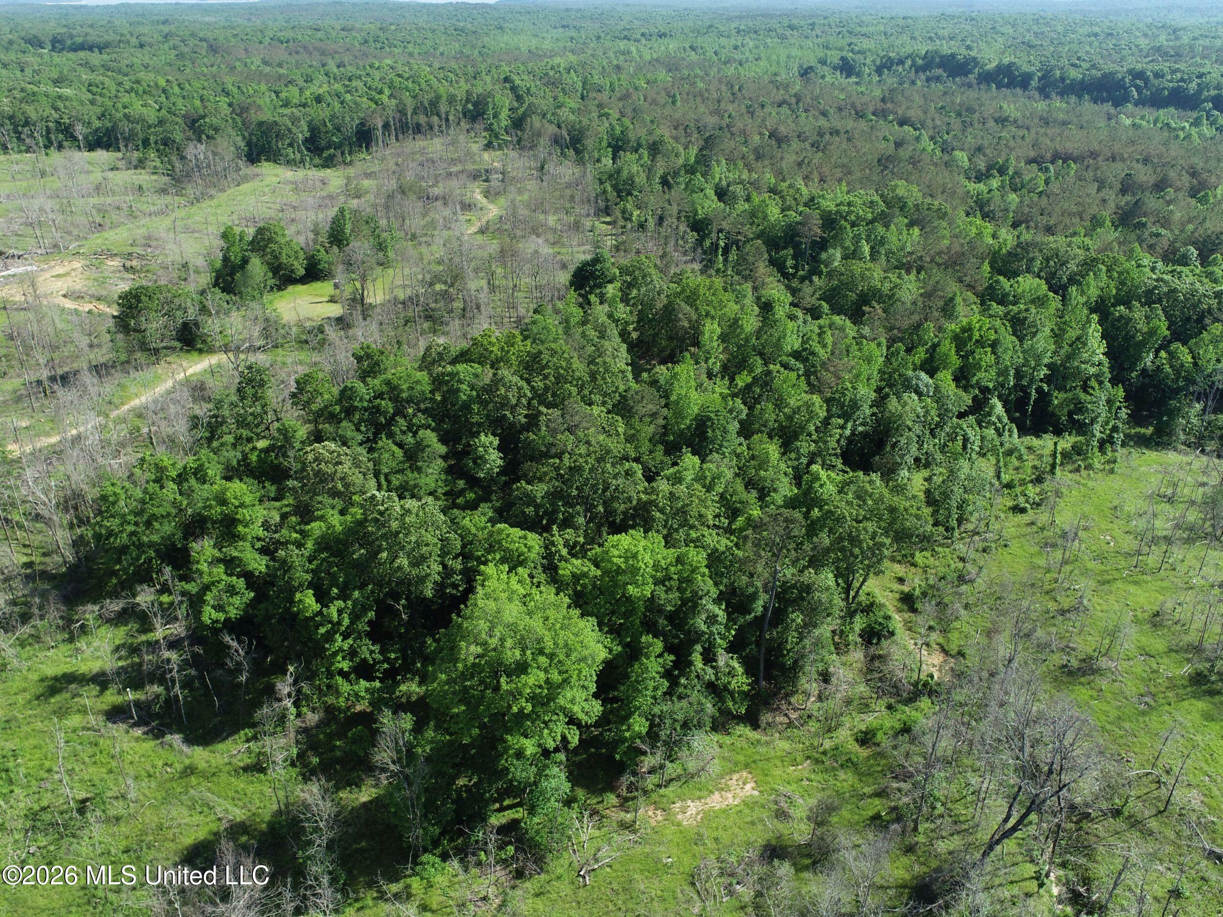 Wayne Massie Road Como, MS 38619 - Photo 24 of 184 3ctwmrd8