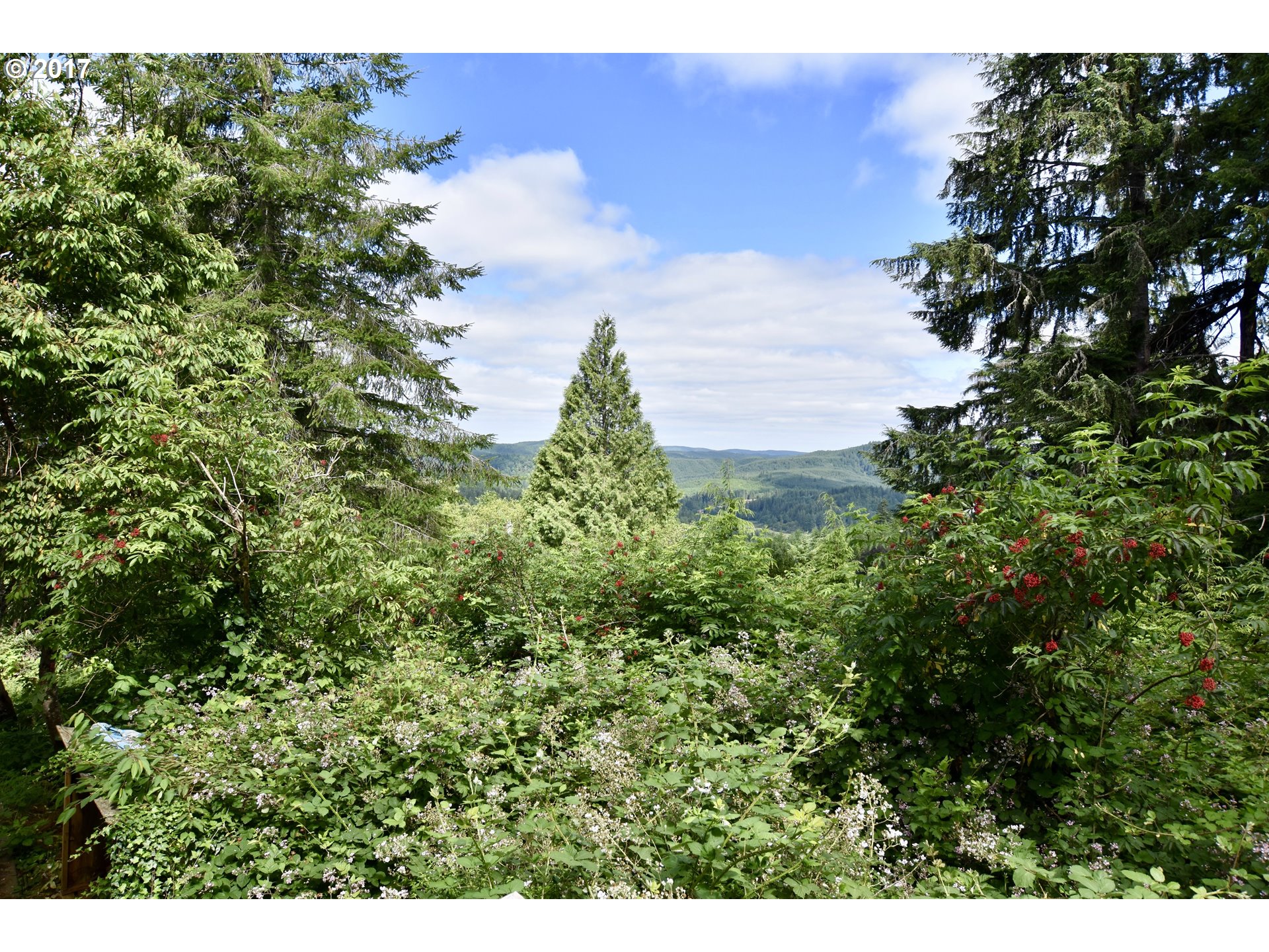 94643 Frontier Lane Coquille, OR 97423 - Photo 3 of 18