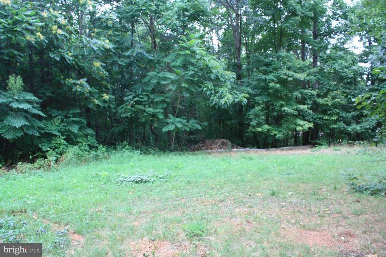 14271 Reva Road Reva, VA 22735 - Photo 9 of 19 View