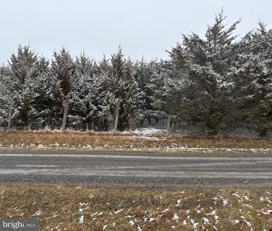 $22,900 | 4 Wisteria Lane, Old Fields, WV 26845