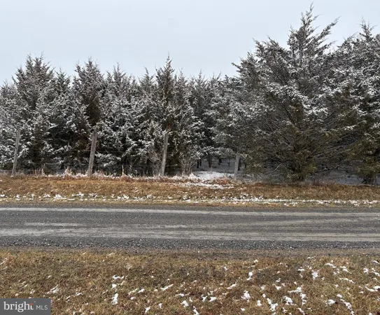 $22,900 | 4 Wisteria Lane, Old Fields, WV 26845
