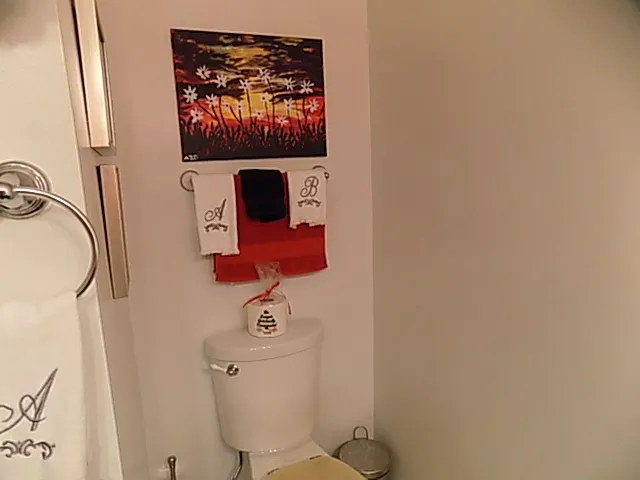 a bathroom with a shower and a window