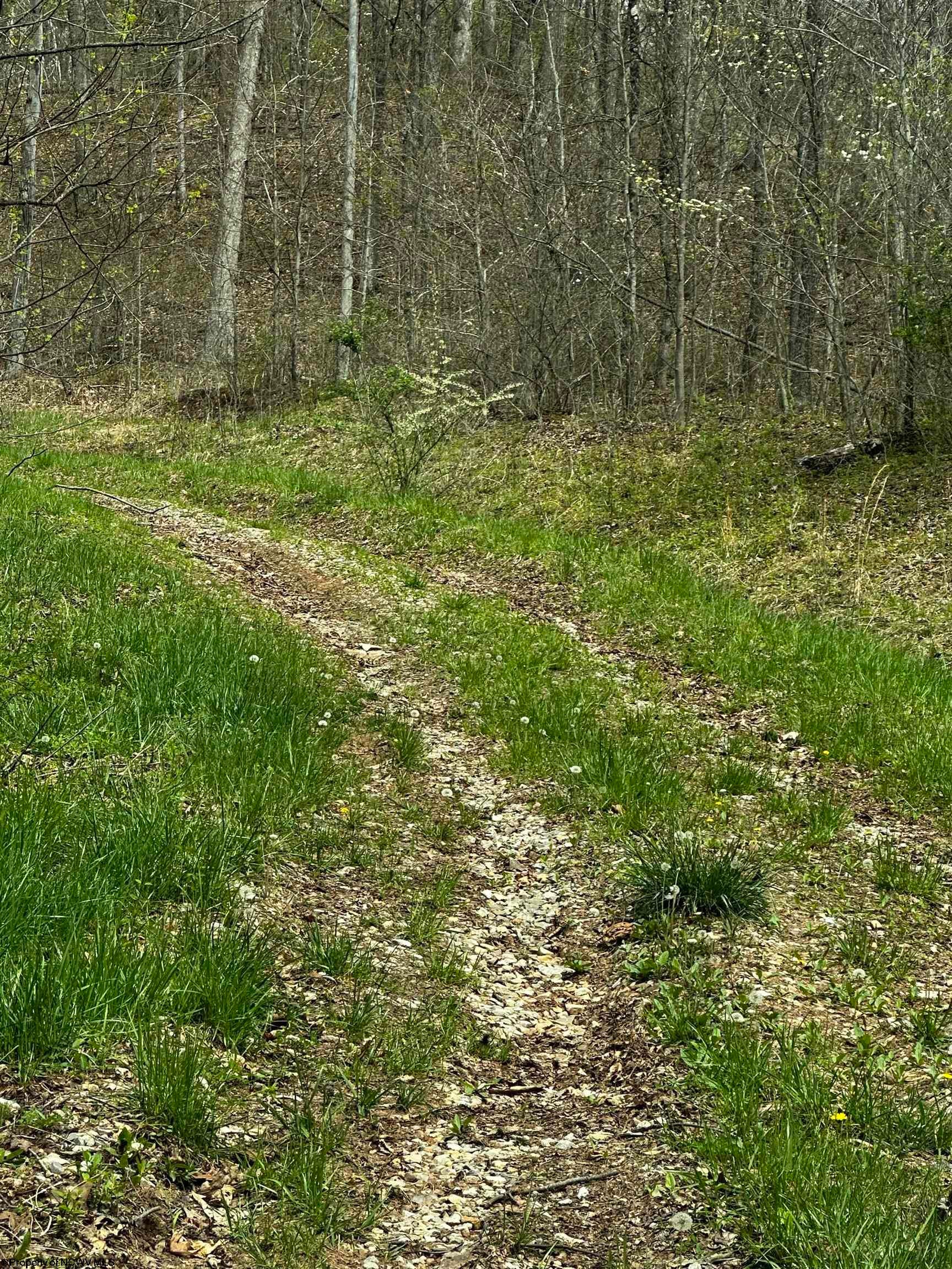 709 Tarkiln Road West Union, WV 26456 - Photo 25 of 29 Gallery Image 25