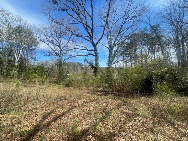 $40,000 | 0 Charlie Mitchell Road, Walhalla, SC 29691